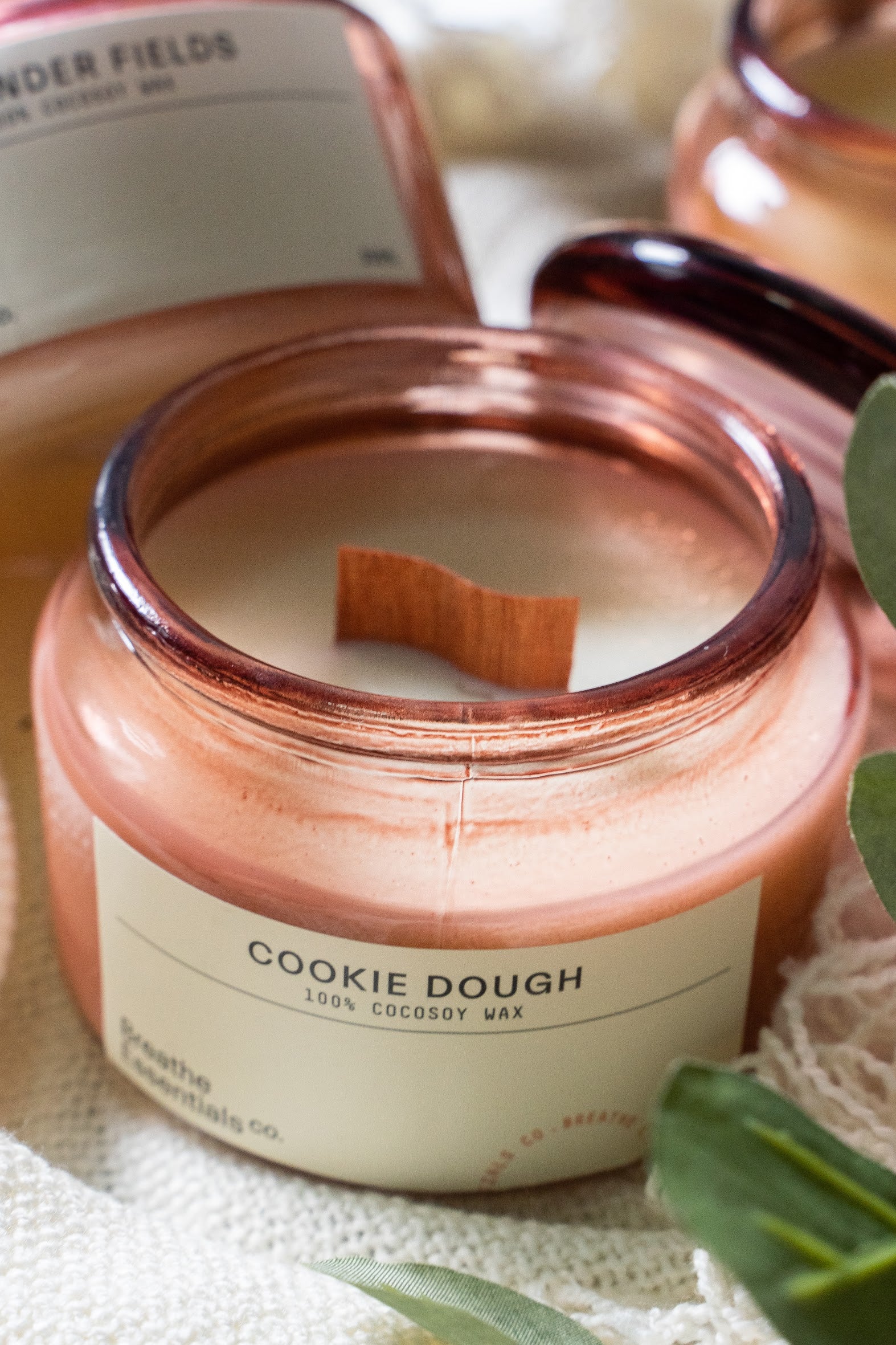 Scentmelts Cire Parfumée Cookie Dough, 10 pièces - Boutique en ligne Ecco  Verde